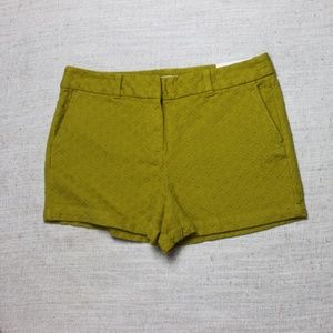Loft Outlet Crochet Mustard Green Shorts